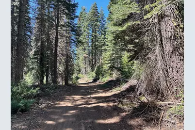 19372 Marsh Mill Road, Nevada City, CA 95959 - Photo 5