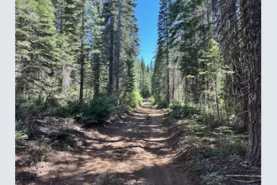 19372 Marsh Mill Road, Nevada City, CA 95959 - Photo 5