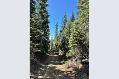 19611 Marsh Mill Road, Nevada City, CA 95959 - Photo 15