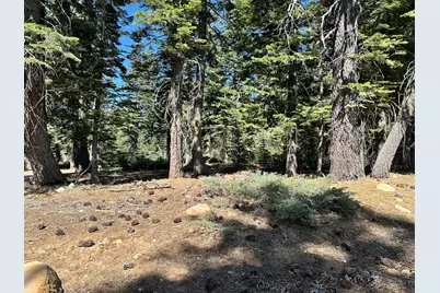 19611 Marsh Mill Road, Nevada City, CA 95959 - Photo 19