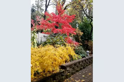 16560 Leafwood Court, Meadow Vista, CA 95722 - Photo 39