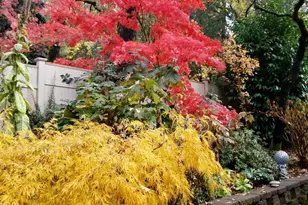 16560 Leafwood Ct, Meadow Vista, CA 95722 - Photo 39