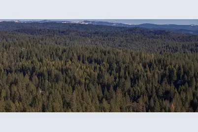 3426 Fawn Circle, Arnold, CA 95223 - Photo 45