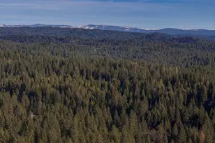 3426 Fawn Cir, Arnold, CA 95223 - Photo 45