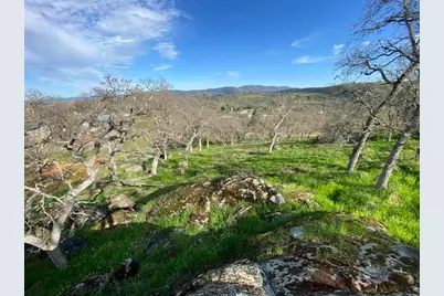 4241 Grisham Road, Valley Springs, CA 95252 - Photo 5