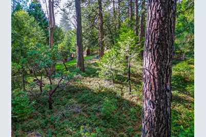 593 Avery Sheep Ranch Road, Avery, CA 95224 - Photo 3