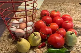 4402 Jaquima Dr, Angels Camp, CA 95222 - Photo 85