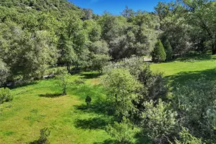 14319 Ballantree Ln, Grass Valley, CA 95949 - Photo 31