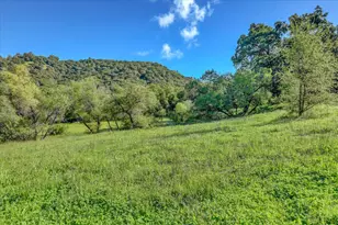 14319 Ballantree Ln, Grass Valley, CA 95949 - Photo 33