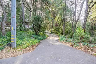 2920 Mt Danaher Rd, Camino, CA 95709 - Photo 91