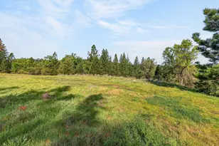 4280 Leisure Ln, Placerville, CA 95667 - Photo 49