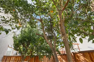 2431 Garrett Ct, Tracy, CA 95377 - Photo 49