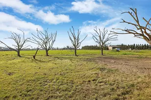 24257 N Pearl Rd, Acampo, CA 95220 - Photo 15