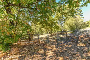 3770 Sheep Ranch Rd, Murphys, CA 95247 - Photo 75