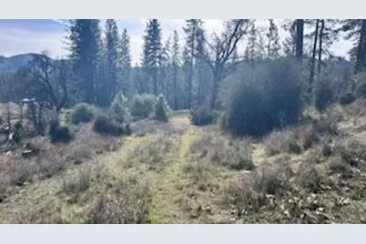 8066 Old Emigrant Trail, Mountain Ranch, CA 95246 - Photo 9