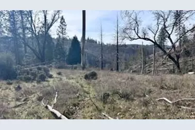 8066 Old Emigrant Trail, Mountain Ranch, CA 95246 - Photo 7