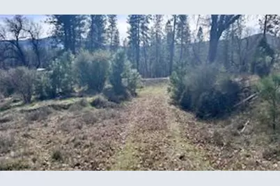 8066 Old Emigrant Trail, Mountain Ranch, CA 95246 - Photo 5