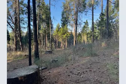 5026 Old Mine Road, Grizzly Flats, CA 95636 - Photo 5