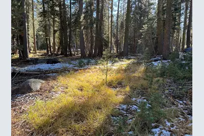 550 Cabbage Patch Log Road, Arnold, CA 95223 - Photo 1