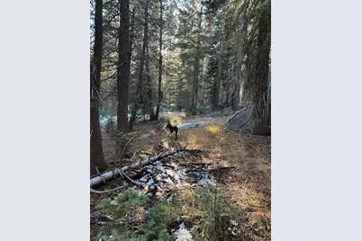 550 Cabbage Patch Log Road, Arnold, CA 95223 - Photo 17