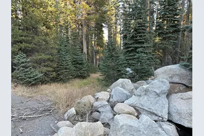 550 Cabbage Patch Log Road, Arnold, CA 95223 - Photo 3