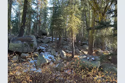 550 Cabbage Patch Log Road, Arnold, CA 95223 - Photo 15