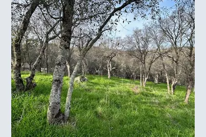 6651 Gallagher Road, Pilot Hill, CA 95664 - Photo 45