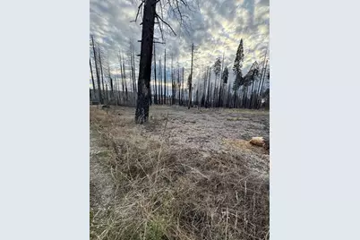 0 Forest Glen @ Winding Way, Grizzly Flats, CA 95636 - Photo 5