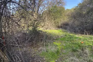 10720 Rough and Ready Rd, Rough and Ready, CA 95975 - Photo 45