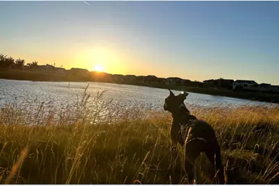732 Westmoor Circle, Oakley, CA 94561 - Photo 29