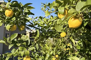 732 Westmoor Cir, Oakley, CA 94561 - Photo 29