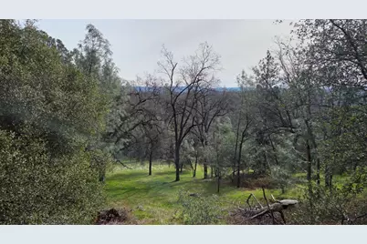 0 Palace Lane, Placerville, CA 95667 - Photo 19