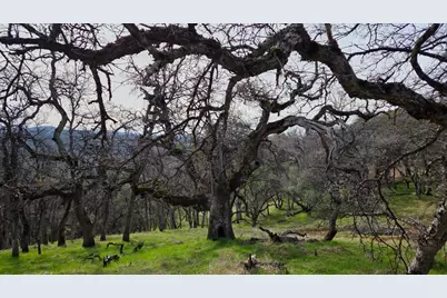 0 Palace Lane, Placerville, CA 95667 - Photo 1