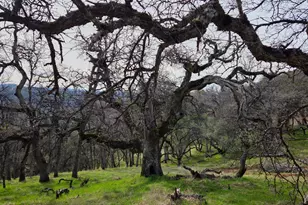 0 Palace Ln, Placerville, CA 95667 - Photo 1
