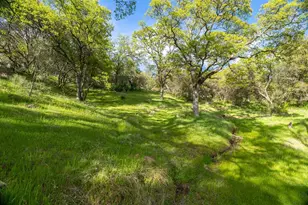 16100 Barbara Ct, Grass Valley, CA 95949 - Photo 57