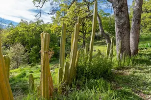 16100 Barbara Ct, Grass Valley, CA 95949 - Photo 69