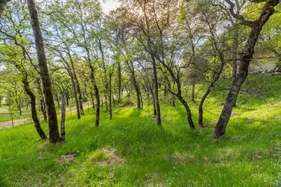 16100 Barbara Court, Grass Valley, CA 95949 - Photo 53