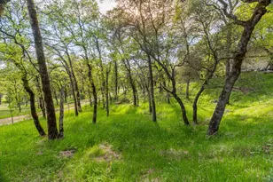 16100 Barbara Ct, Grass Valley, CA 95949 - Photo 53