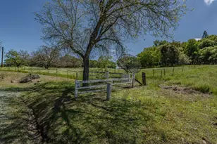 19160 American Flat Rd, Fiddletown, CA 95629 - Photo 45