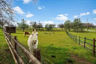 1110 Trails End Dr, Placerville, CA 95667 - Photo 65