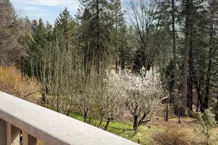 11977 Alta Sierra Dr, Grass Valley, CA 95949 - Photo 75