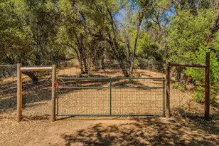 17050 Rams Horn Grade, Volcano, CA 95689 - Photo 79