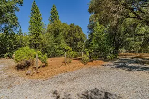 17050 Rams Horn Grade, Volcano, CA 95689 - Photo 77