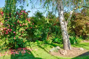 2290 Mission St, Escalon, CA 95320 - Photo 31