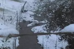 4460 Fawn St, Shingle Springs, CA 95682 - Photo 65