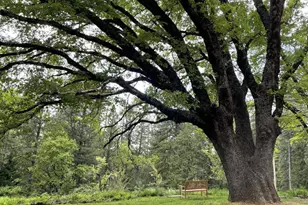 180 Dutch Flat Rd, Dutch Flat, CA 95714 - Photo 29