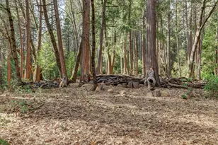 14724 N Bloomfield-Graniteville Rd, Nevada City, CA 95959 - Photo 89