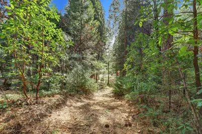 14724 N Bloomfield-Graniteville Road, Nevada City, CA 95959 - Photo 97