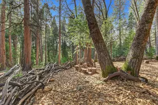 14724 N Bloomfield-Graniteville Rd, Nevada City, CA 95959 - Photo 93