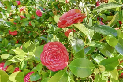 11690 Bourbon Hill Road, Nevada City, CA 95959 - Photo 63